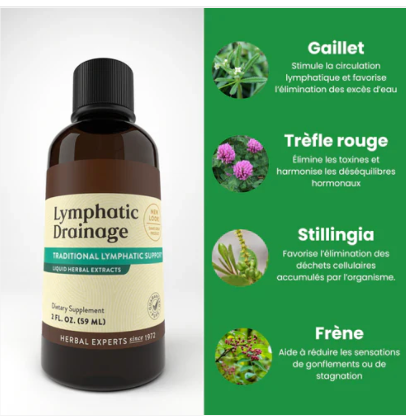 Drainage Lymphatique Liquide – Visage Affiné, Jambes Légères, Ventre Plat
