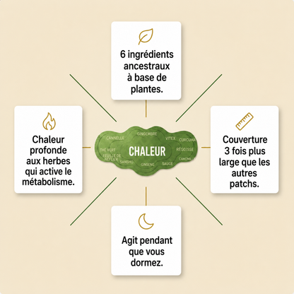 Patch d'équilibre aux herbes japonaises™  Réduit le ballonnement, affine la taille et purifie en douceur — pendant que tu dors.