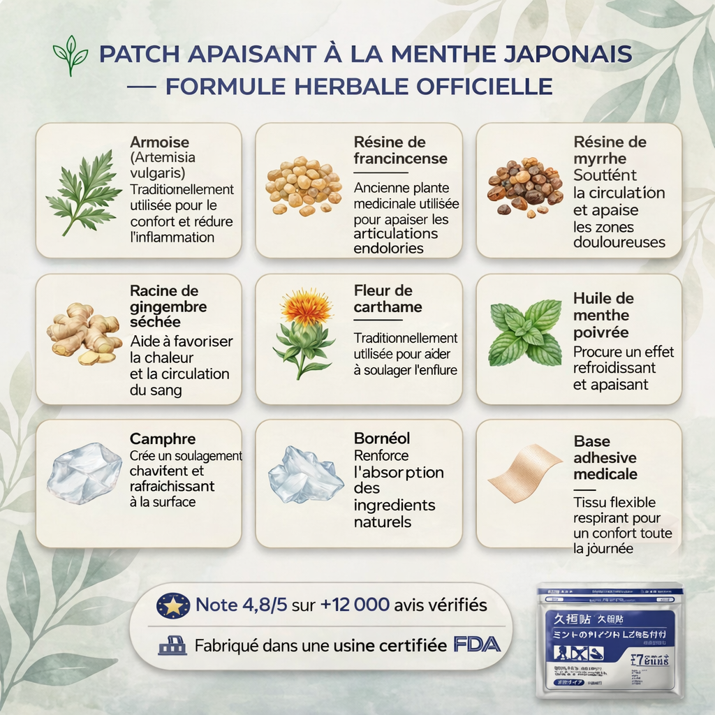 Patch Soulagement Profond  japonais Kampo