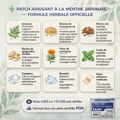 Patch Soulagement Profond  japonais Kampo